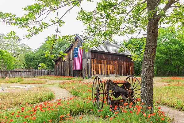 Wilson, Emily M. 아티스트의 Castroville-Texas-USA-Large American flag on a barn in the Texas Hill Country작품입니다.